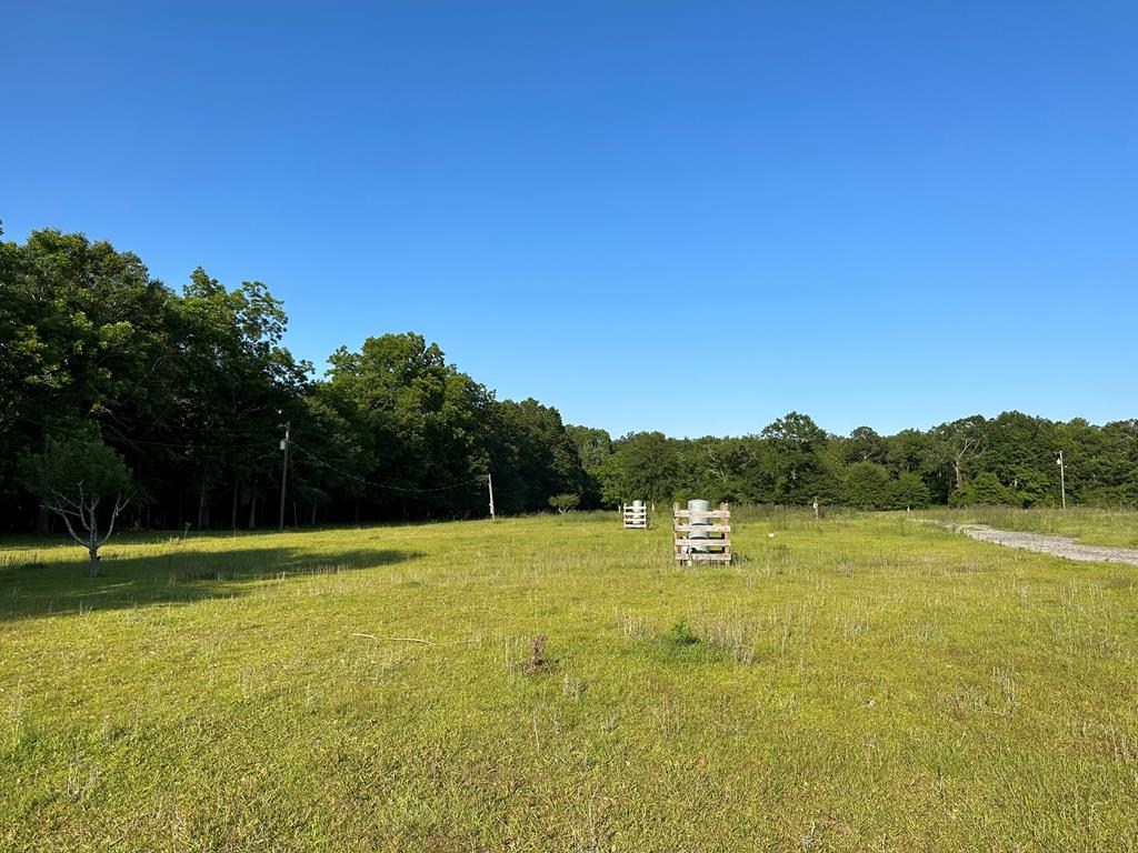 977 Old Fadette Road Slocomb, AL 36375 - Photo 1 of 5 Main View