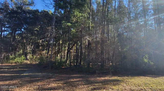 $59,000 | 378 Chicora Lane, Yemassee, SC 29945