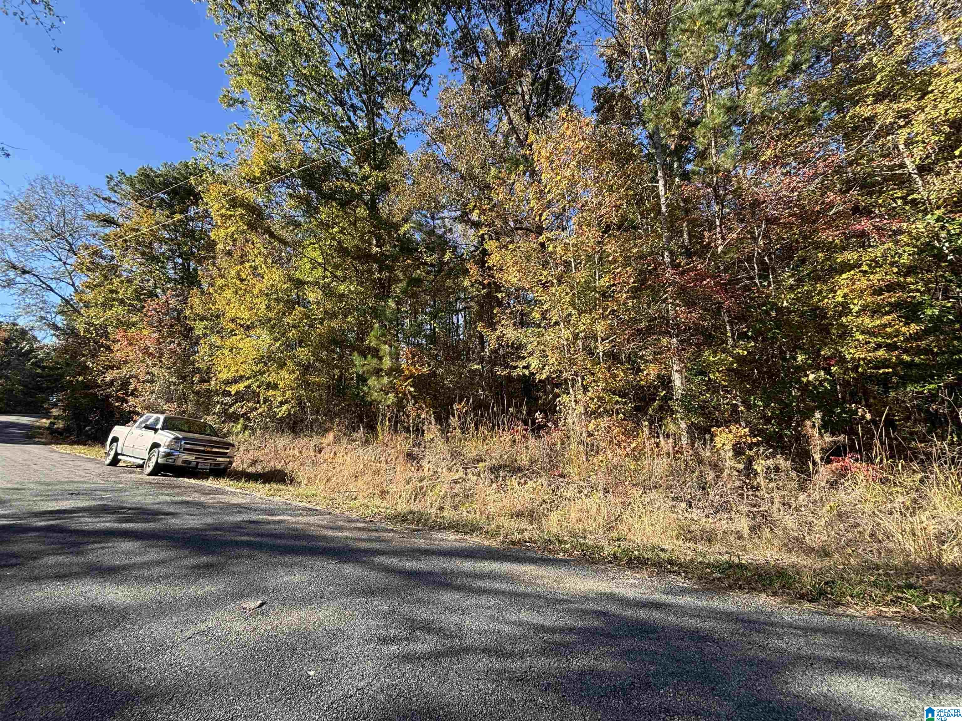 0 Waldrop Road, Unit 10 82 ACRES Ashville, AL 35953 - Photo 8 of 22