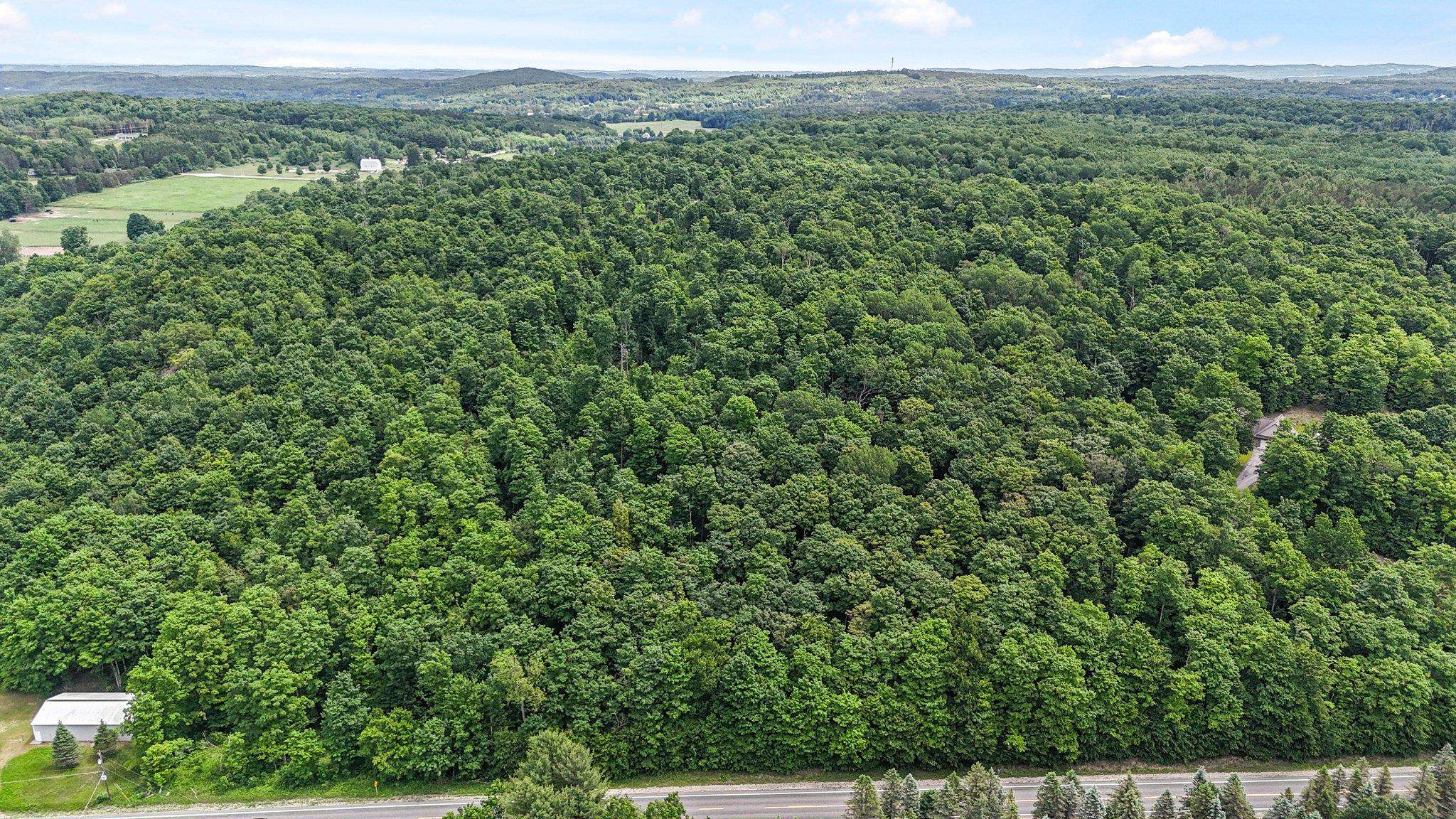 V/l South Coleman Road Maple City, MI 49664 - Photo 19 of 22