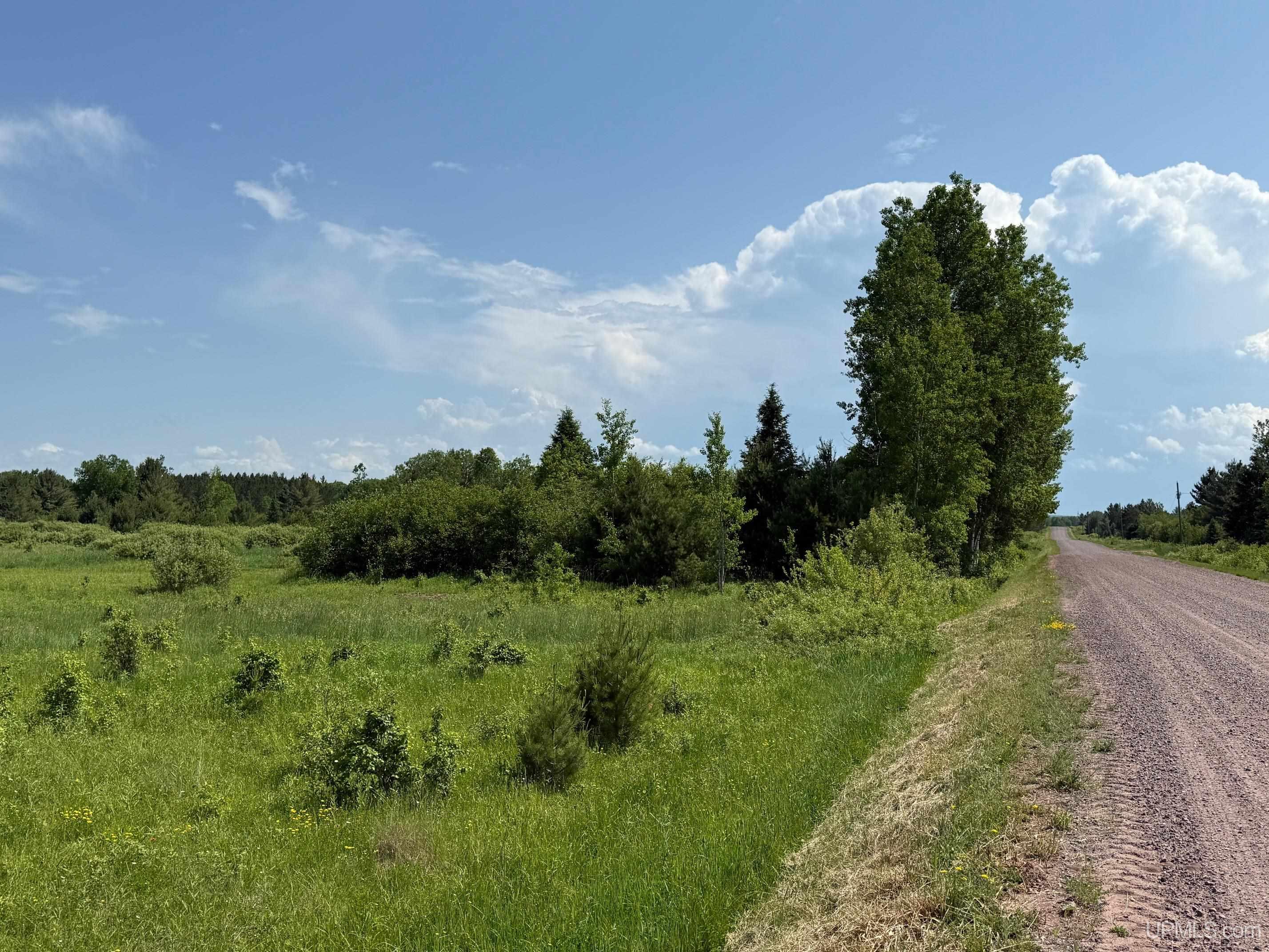 Tbdn202 South Baltimore Road Bruce Crossing, MI 49912 - Photo 7 of 13 Gallery Image 7