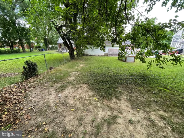 a view of a backyard with large trees
