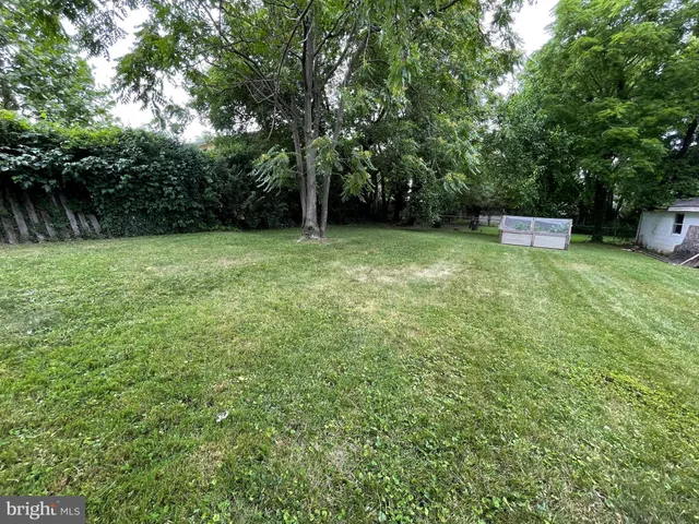 a view of a backyard with a trees