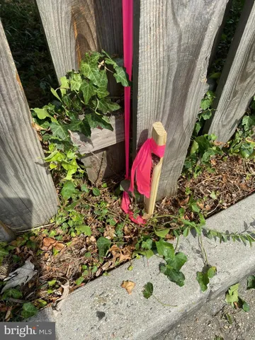a view of a backyard with plants and tree