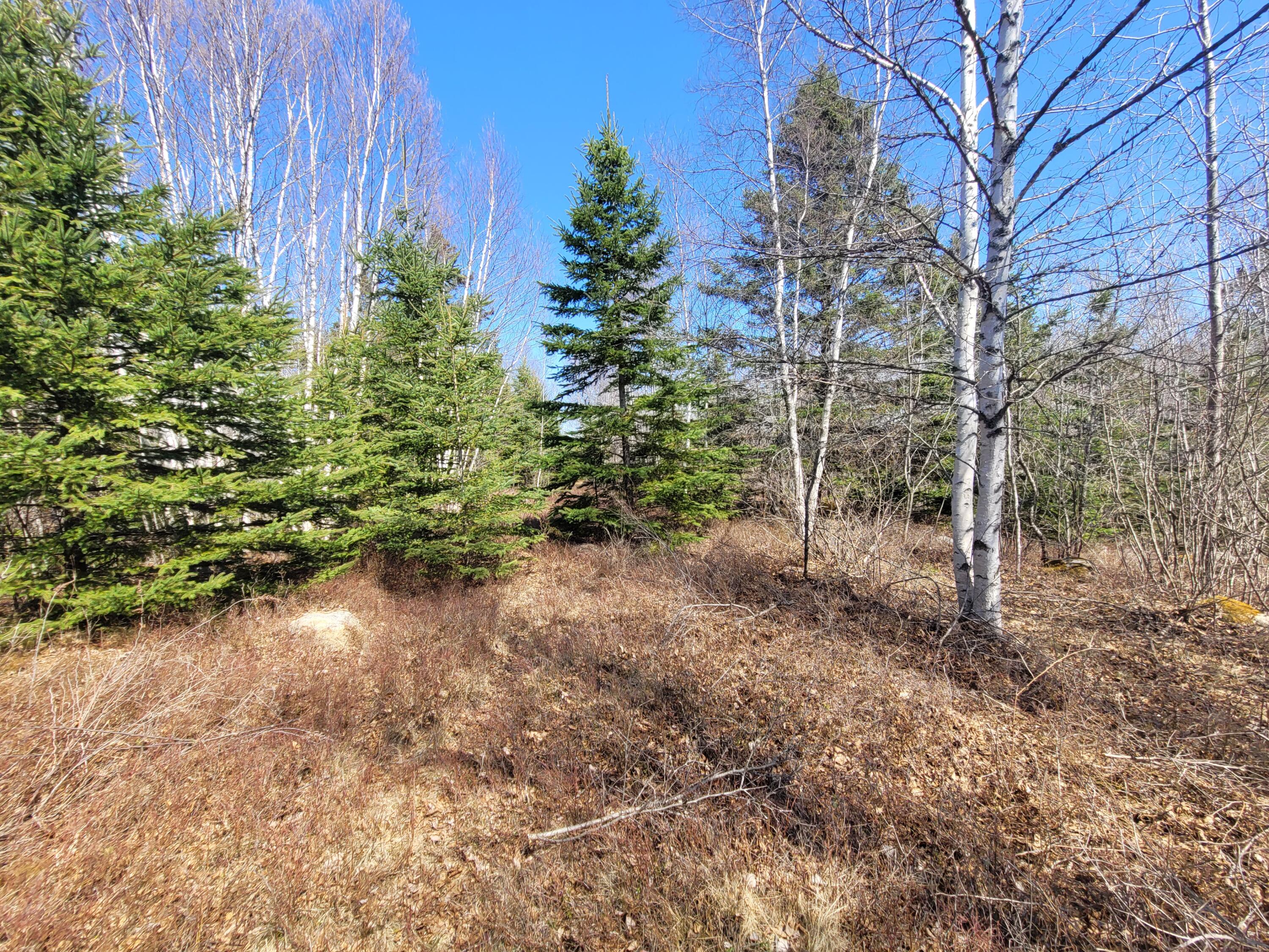 29 Reef Point Road Addison, ME 04606 - Photo 6 of 7 20230413_133319