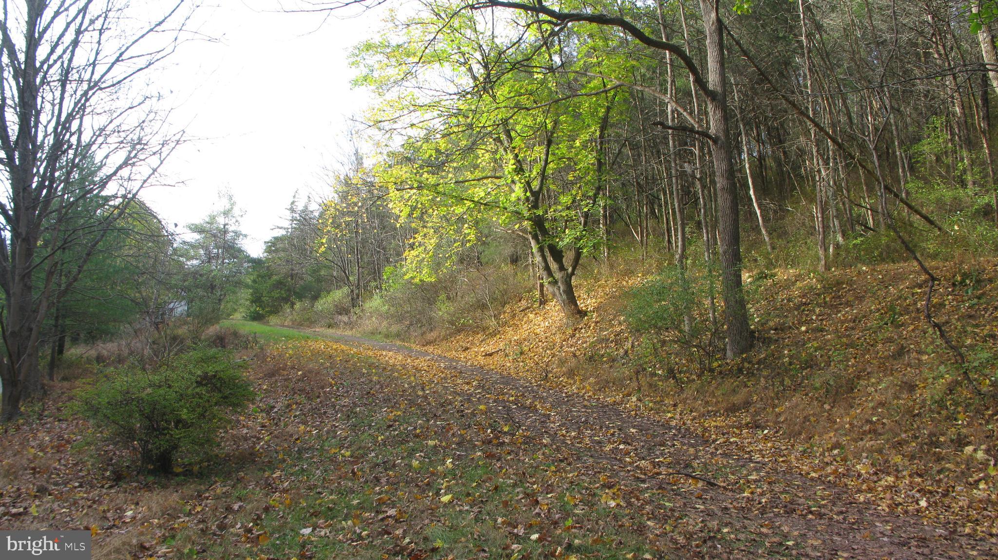 144 Geigel Hill Road Erwinna, PA 18920 - Photo 1 of 8