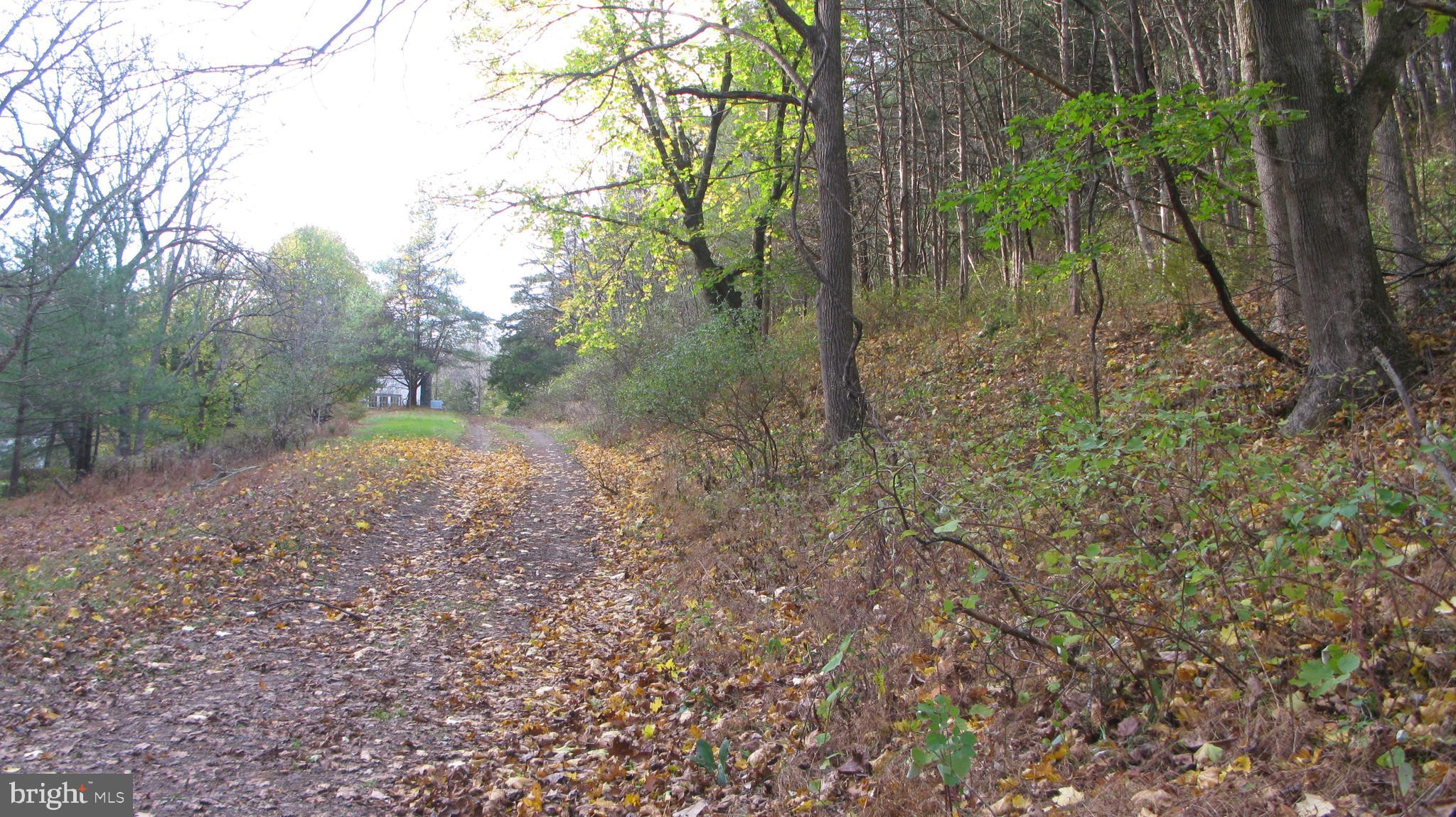 144 Geigel Hill Road Erwinna, PA 18920 - Photo 3 of 8