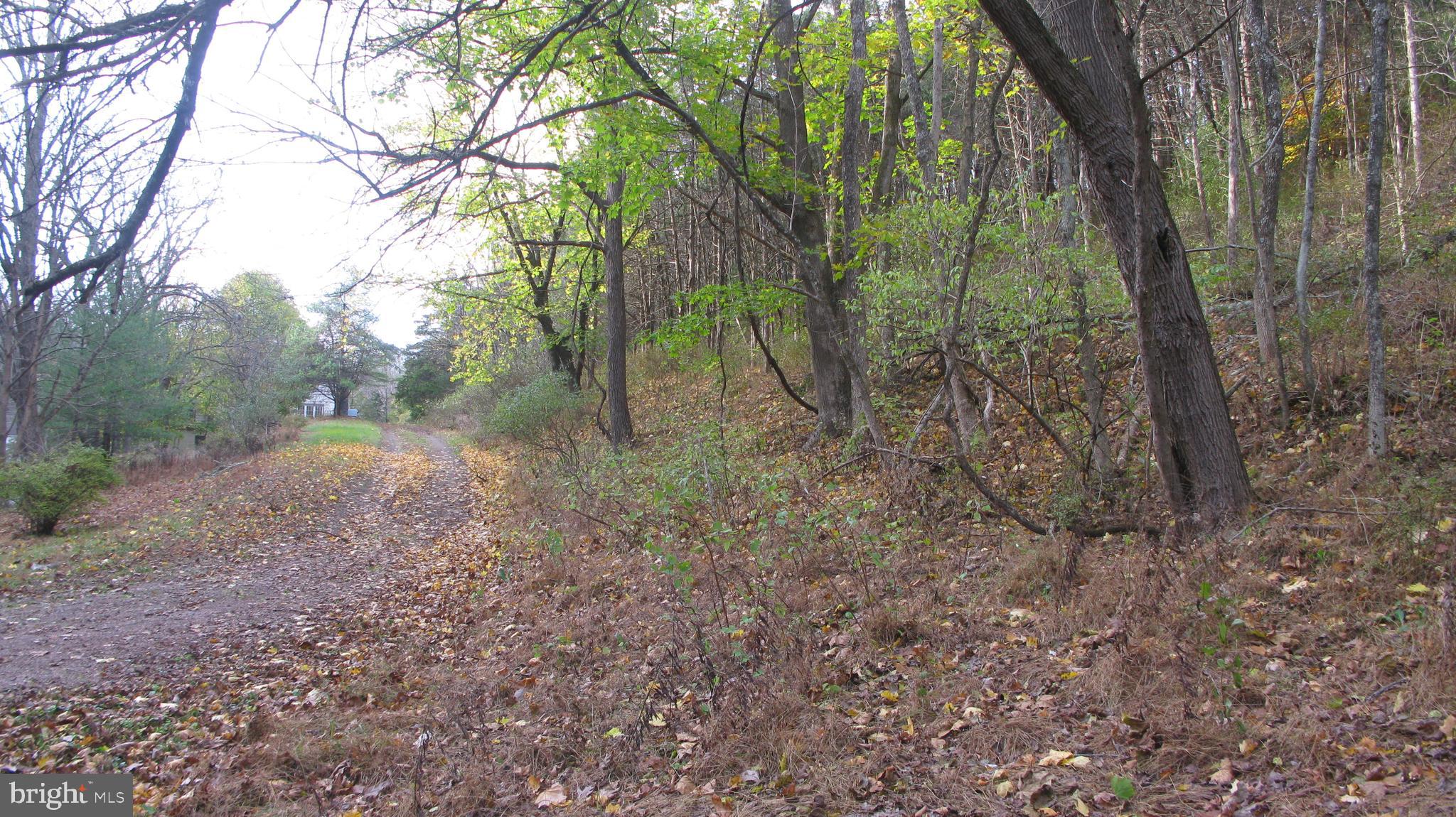 144 Geigel Hill Road Erwinna, PA 18920 - Photo 4 of 8