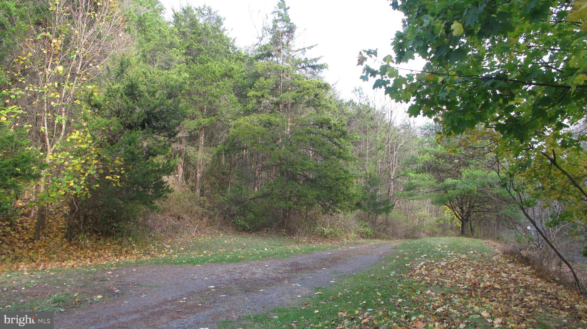 144 Geigel Hill Road Erwinna, PA 18920 - Photo 6 of 8