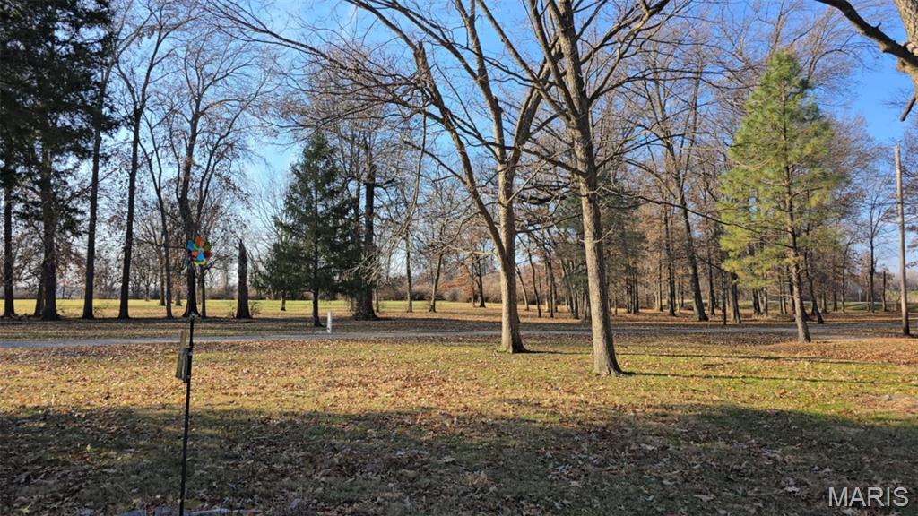 4220 New Poag Road South Roxana, IL 62087 - Photo 11 of 19