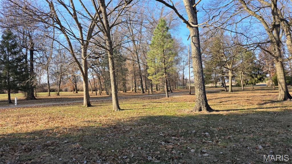 4220 New Poag Road South Roxana, IL 62087 - Photo 15 of 19