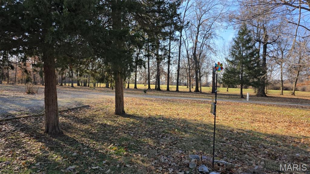 4220 New Poag Road South Roxana, IL 62087 - Photo 16 of 19