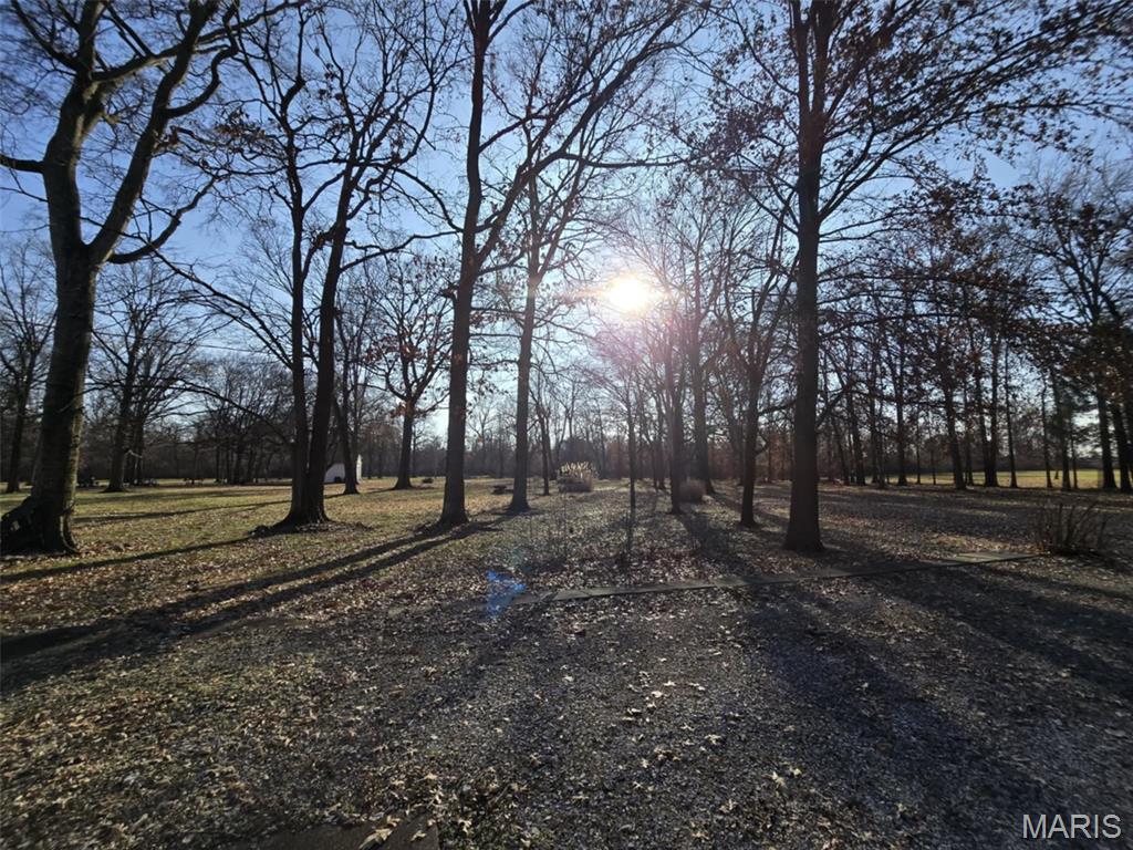 4220 New Poag Road South Roxana, IL 62087 - Photo 10 of 19