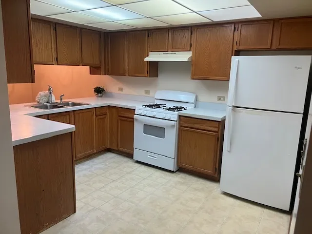 $169,500 | 4222 West 77th Street, Unit 202, Chicago, IL 60652