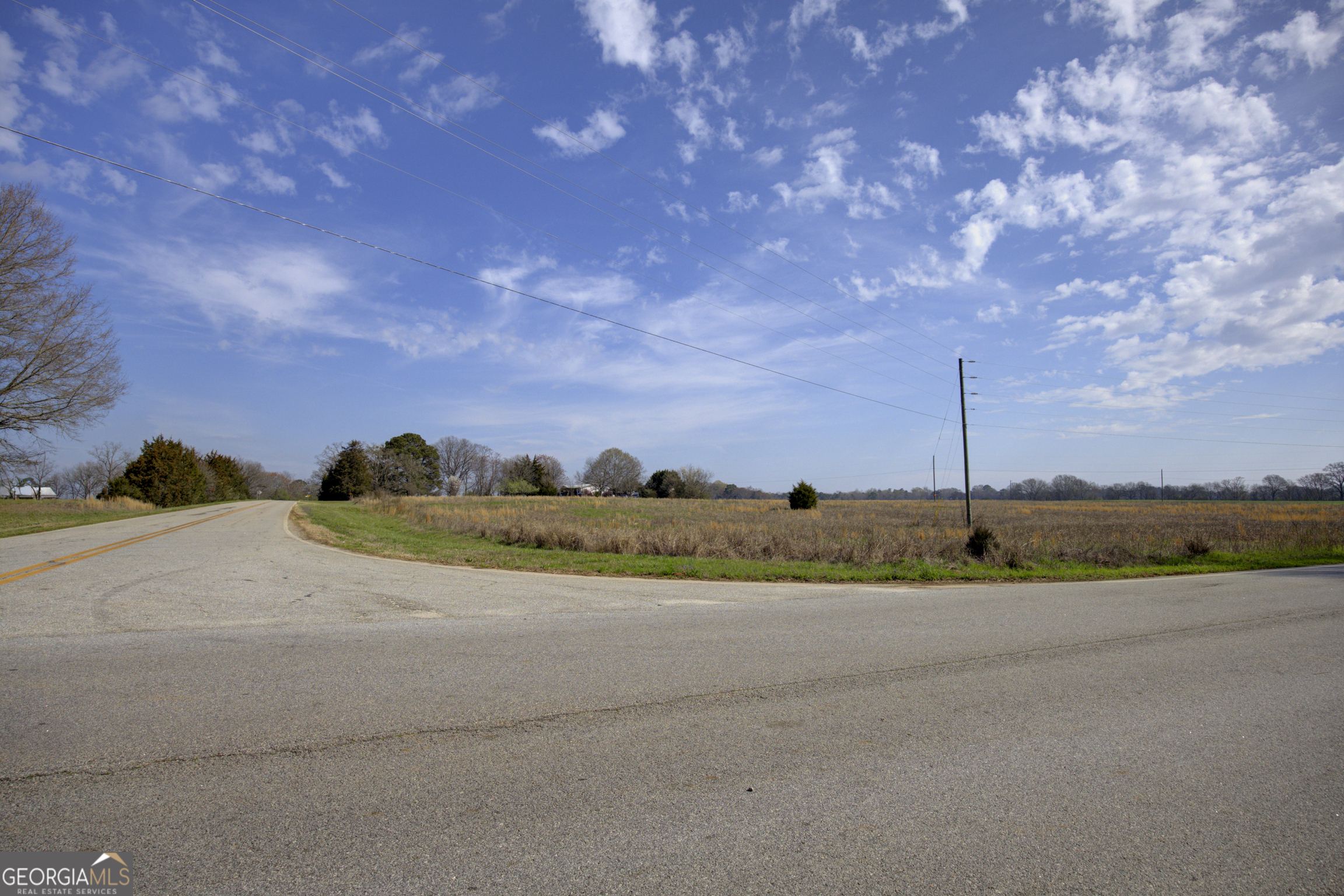 0 Broughton Road Newborn, GA 30650 - Photo 4 of 15 a view of a road with an ocean view
