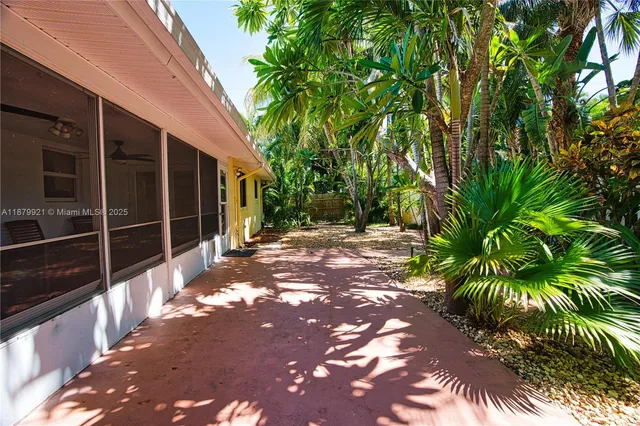 a view of backyard with plants and large trees