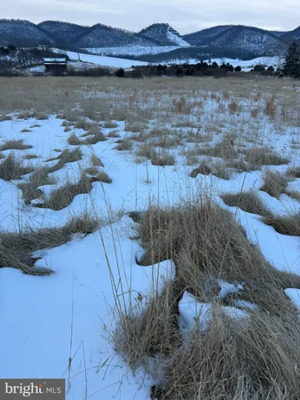 $65,000 | Forman Road, Lahmansville, WV 26731