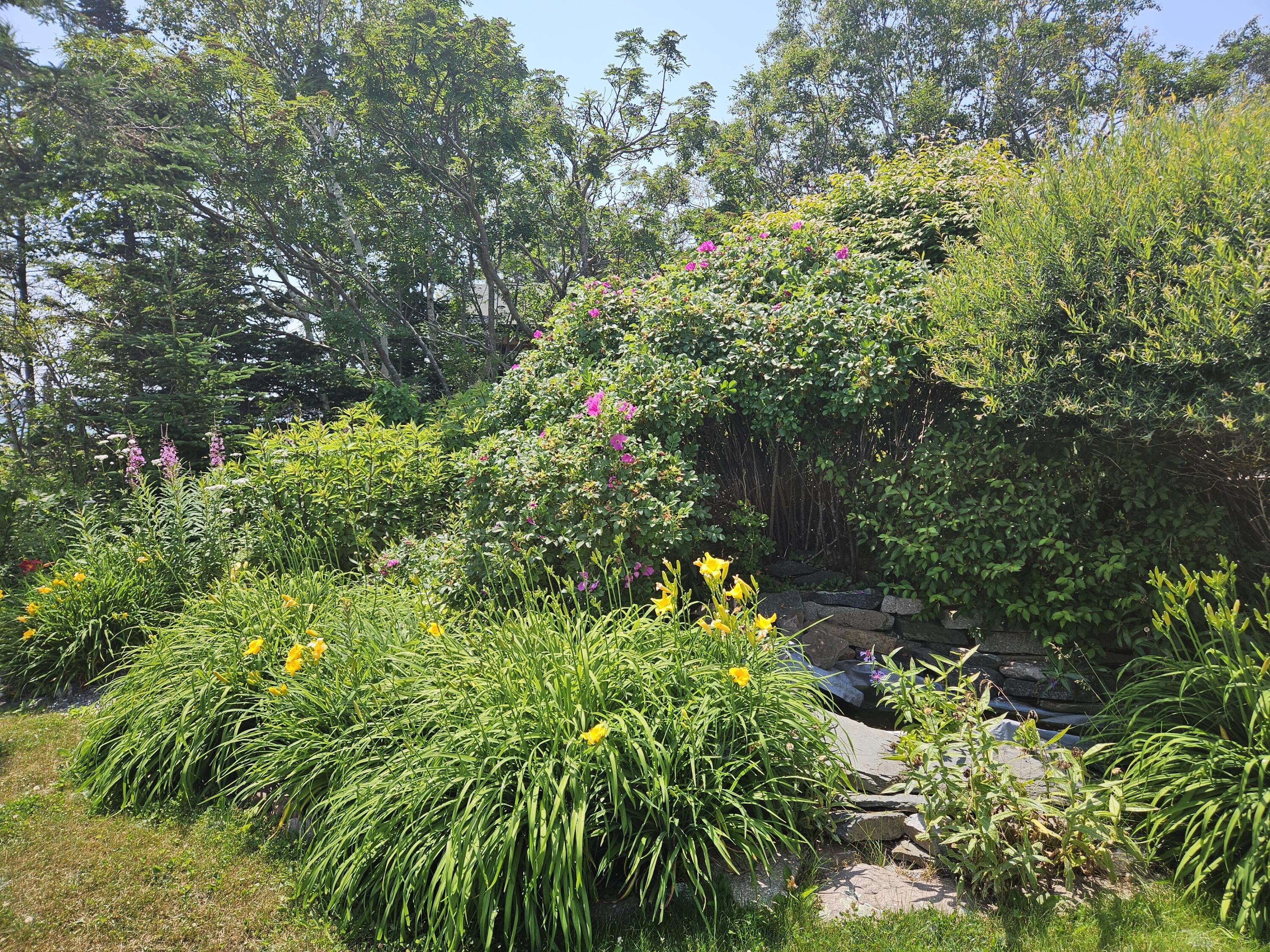 541 Mason Bay Road Jonesport, ME 04649 - Photo 76 of 92