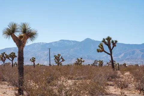 a view of a house with a mountain