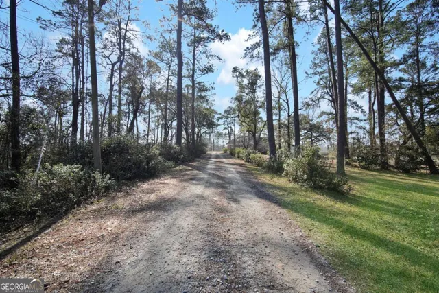 a view of a yard with trees in front of it