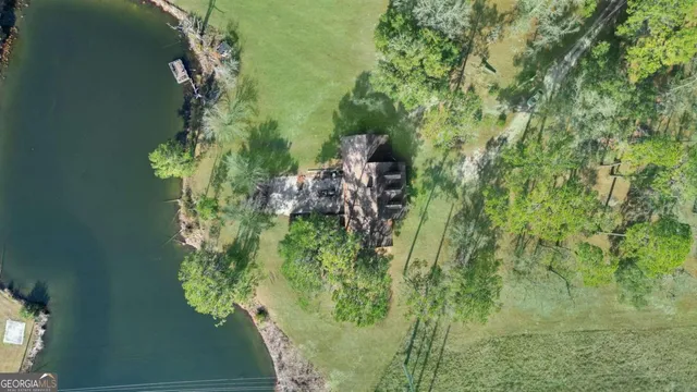 a close up of a plant in a garden