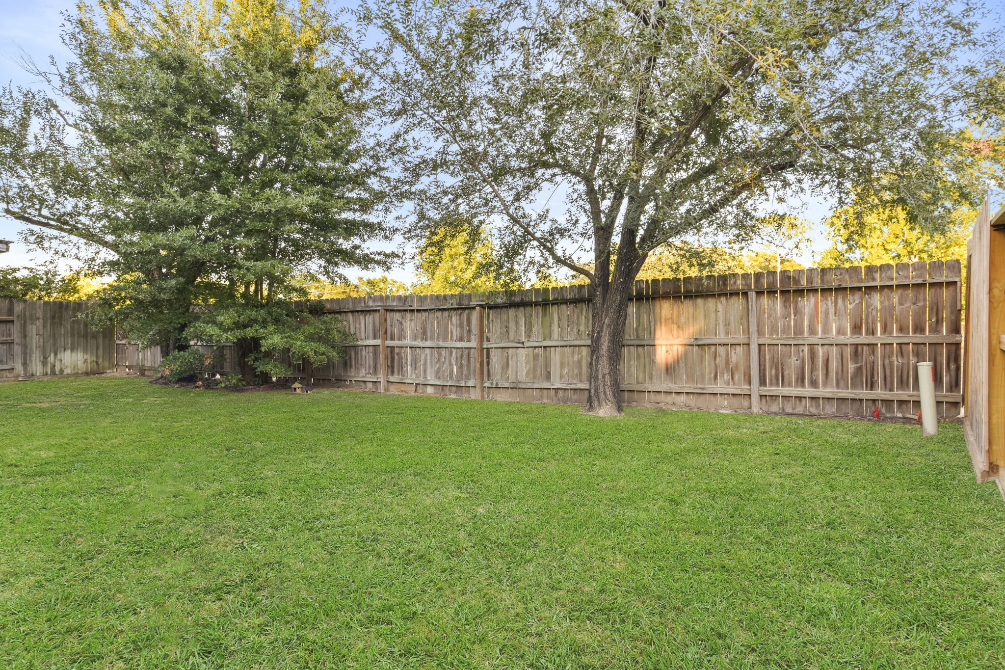 8550 Waiting Spring Circle Houston, TX 77095 - Photo 28 of 32 a view of a backyard with large trees