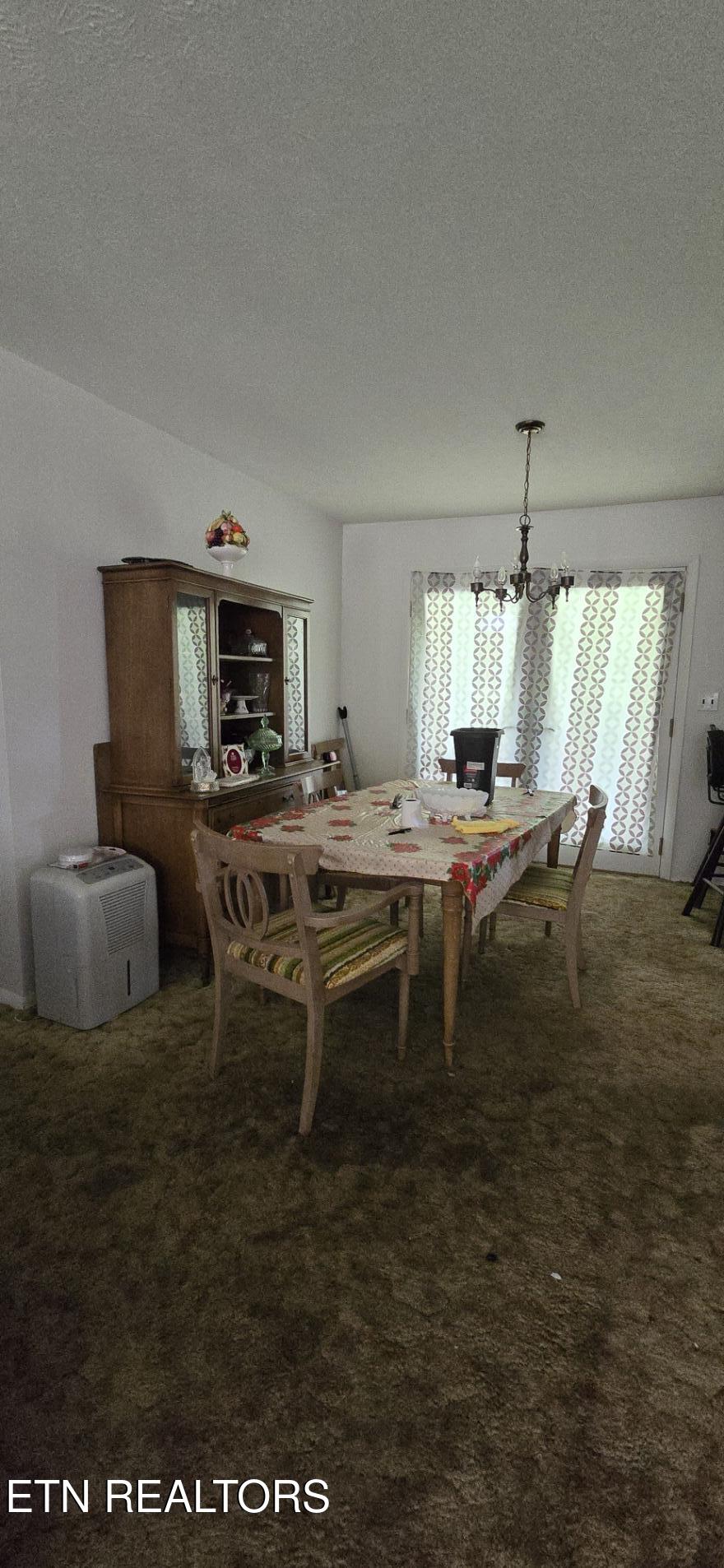 196 Shady Lane Oneida, TN 37841 - Photo 13 of 16 20260612_134309