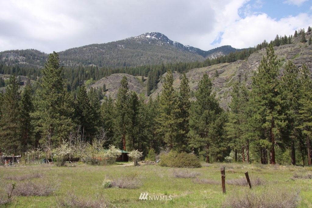 38 Country Road Mazama, WA 98833 - Photo 1 of 17 Gallery Image 1