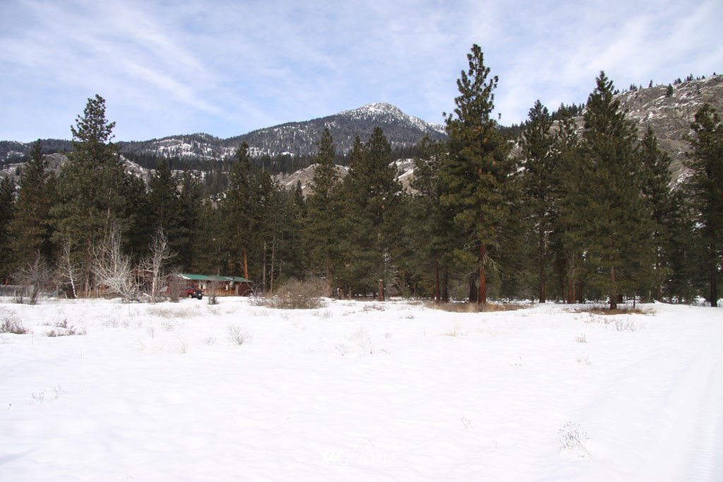 38 Country Road Mazama, WA 98833 - Photo 14 of 17 Gallery Image 14