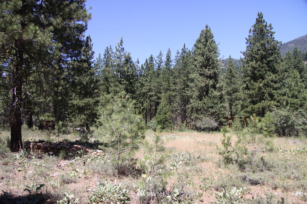 38 Country Road Mazama, WA 98833 - Photo 3 of 17 Gallery Image 3