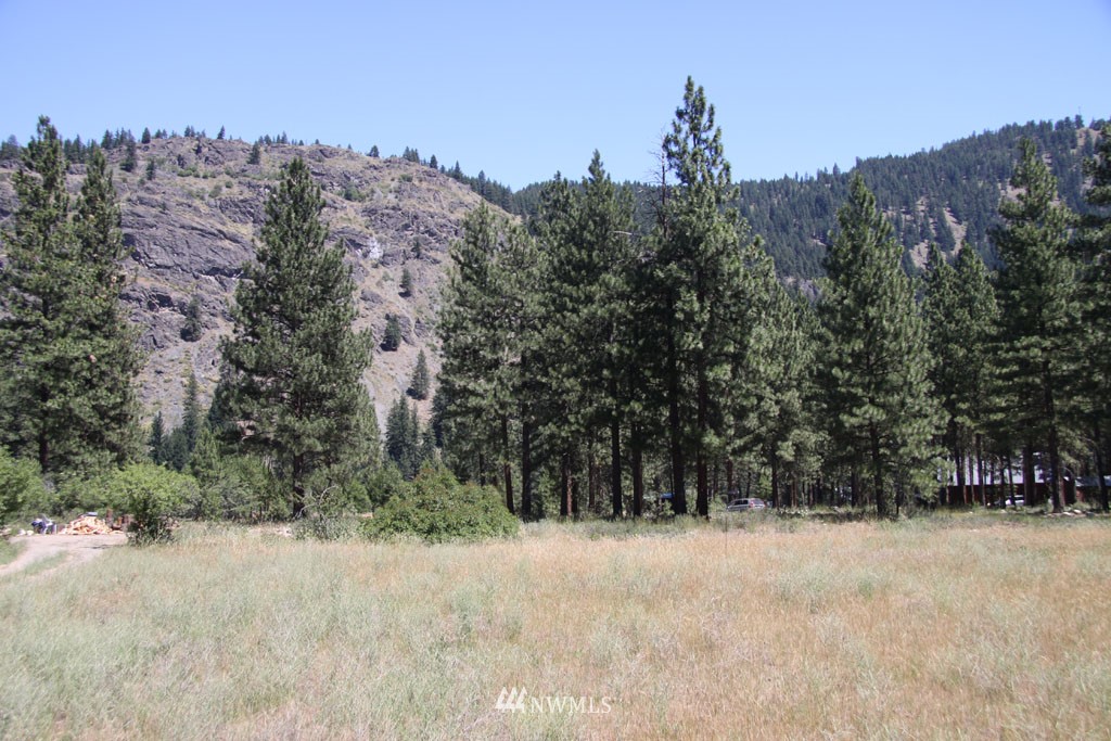 38 Country Road Mazama, WA 98833 - Photo 4 of 17 Gallery Image 4