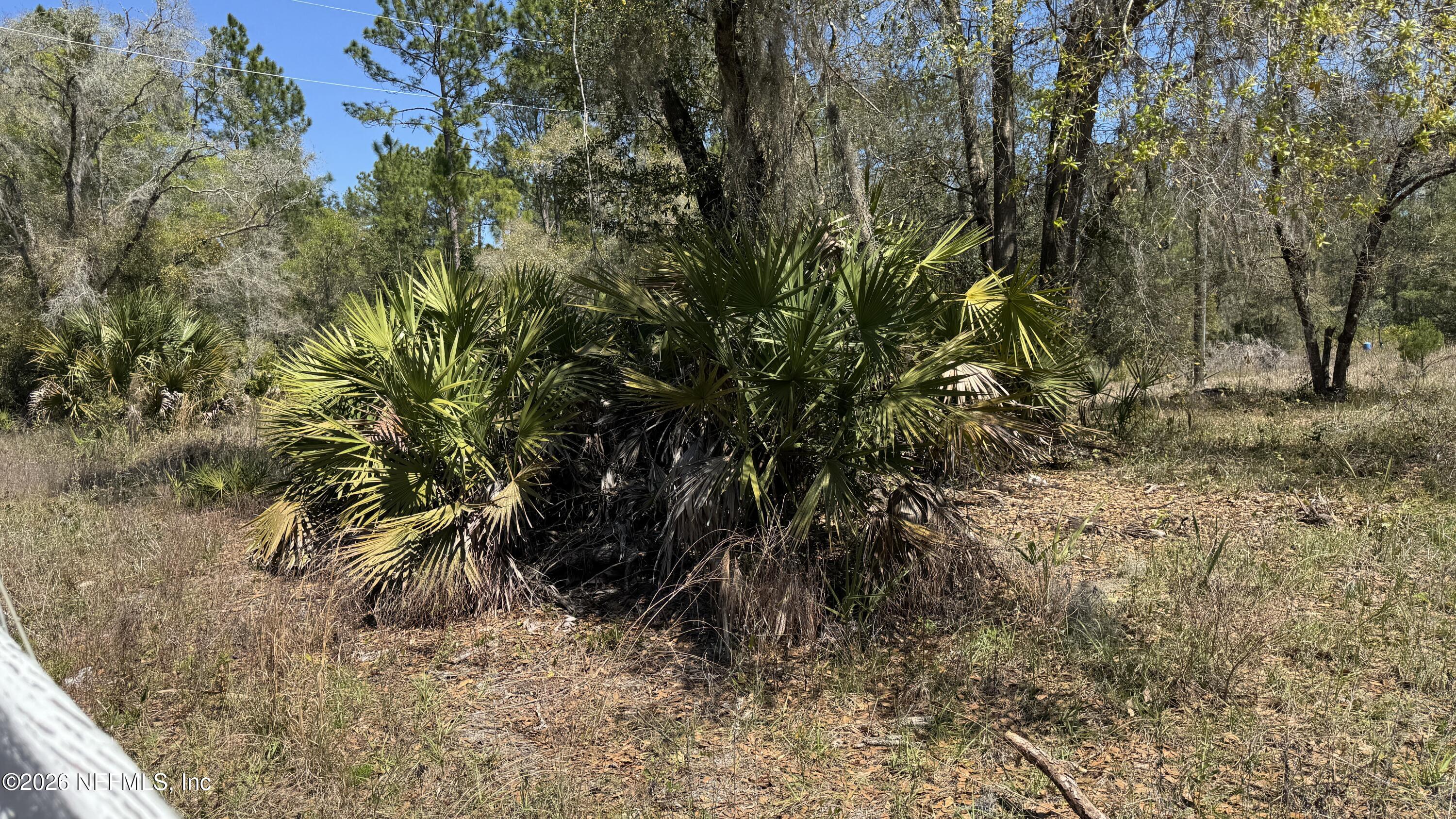 1132 Cousintown Road Interlachen, FL 32148 - Photo 6 of 10 1132 Cousintown Rd, Interlachen, FL