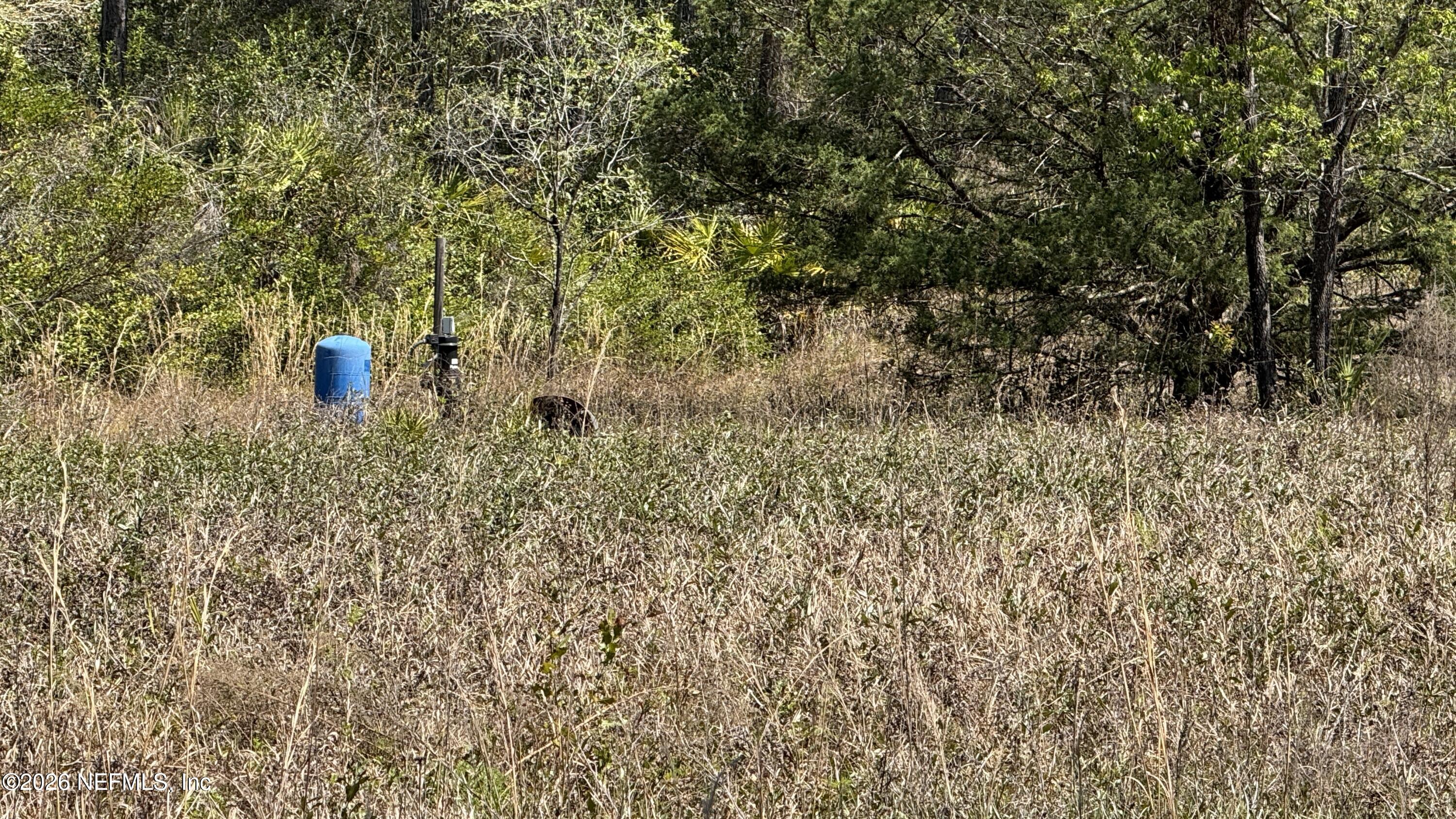 1132 Cousintown Road Interlachen, FL 32148 - Photo 9 of 10 1132 Cousintown Rd, Interlachen, FL