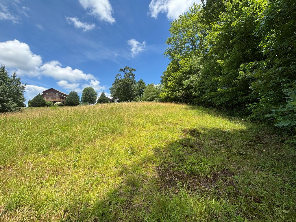 Lot 15 Old Taylors Ferry Ridge Murphy, NC 28906 - Photo 11 of 15 a view of an ocean from a yard