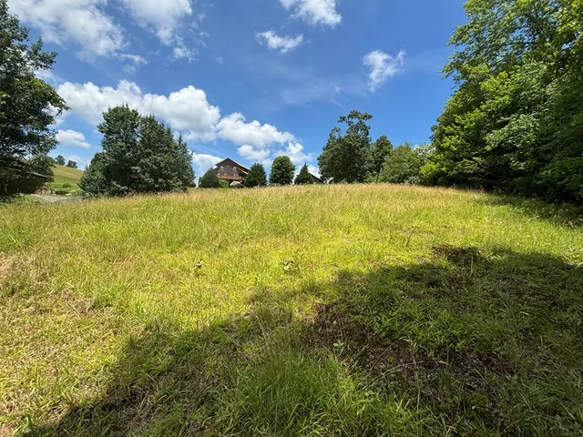 a view of a lake view