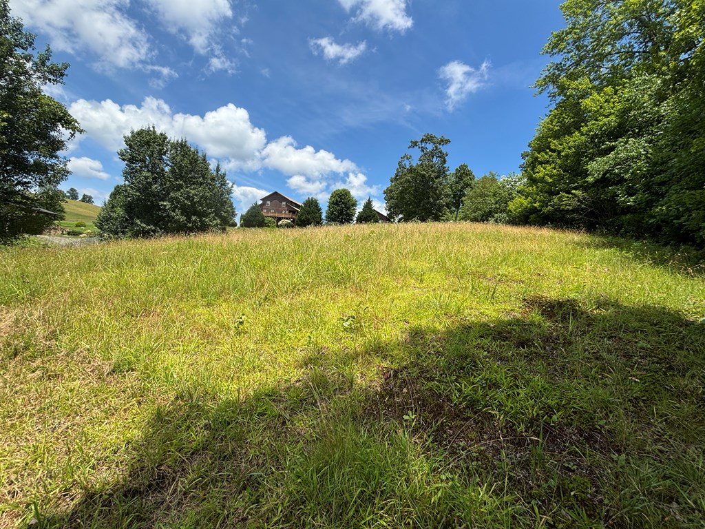Lot 15 Old Taylors Ferry Ridge Murphy, NC 28906 - Photo 12 of 15 a view of a lake view