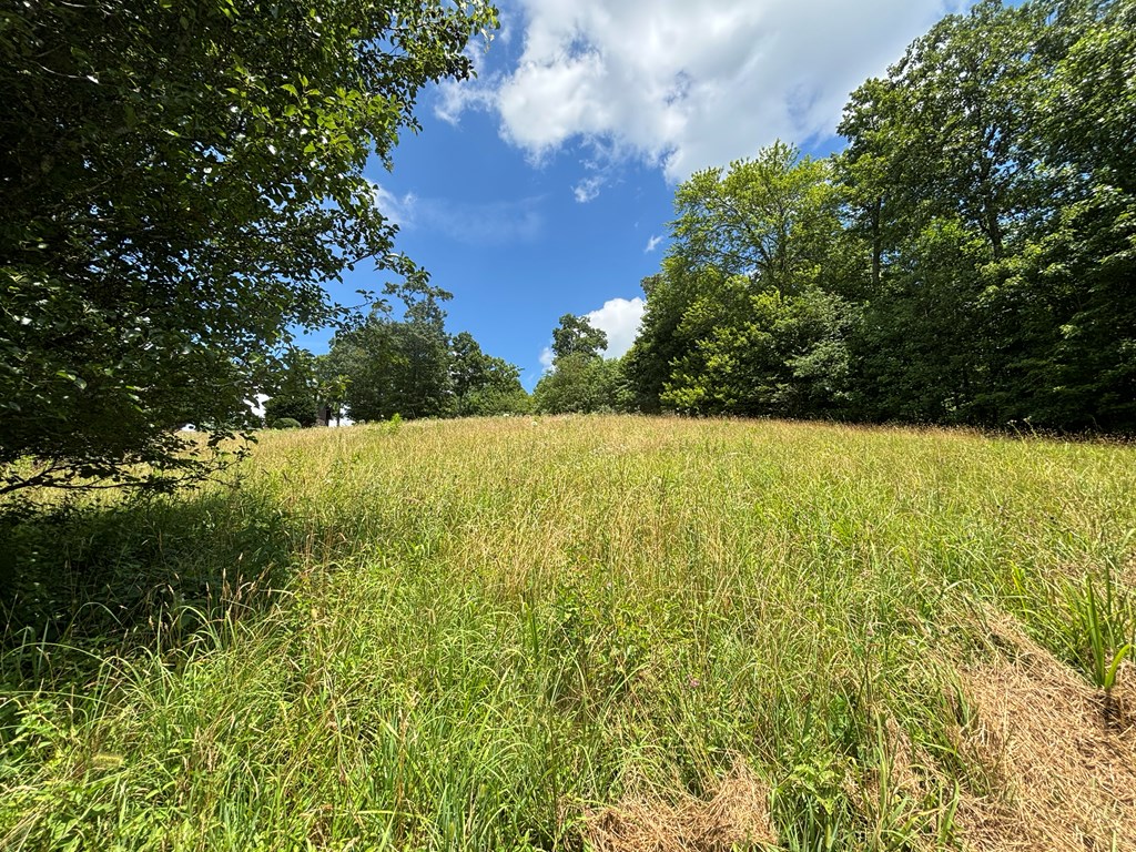 Lot 15 Old Taylors Ferry Ridge Murphy, NC 28906 - Photo 13 of 15 a view of open area with green space