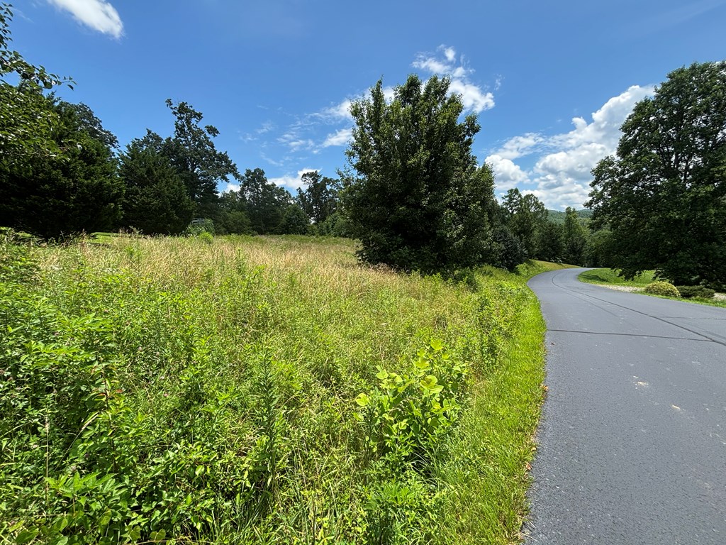 Lot 15 Old Taylors Ferry Ridge Murphy, NC 28906 - Photo 14 of 15 a view of a garden