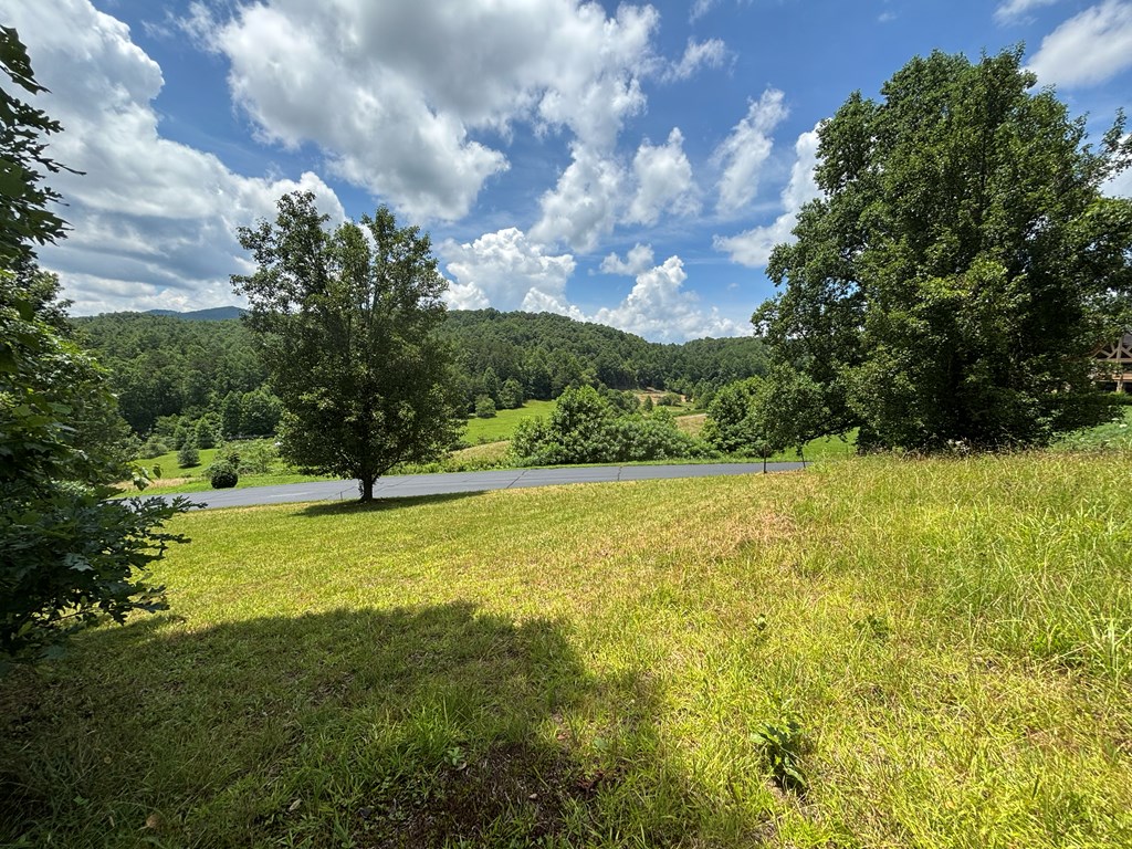 Lot 15 Old Taylors Ferry Ridge Murphy, NC 28906 - Photo 2 of 15 a view of an ocean view
