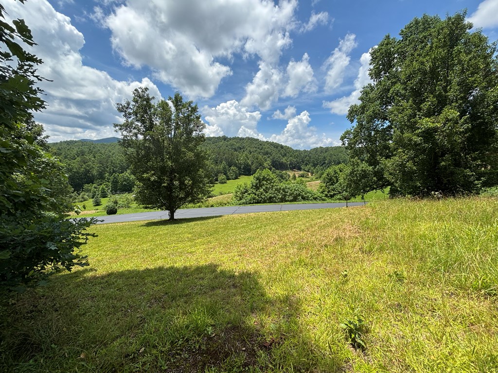 Lot 15 Old Taylors Ferry Ridge Murphy, NC 28906 - Photo 3 of 15 a view of an outdoor space and yard