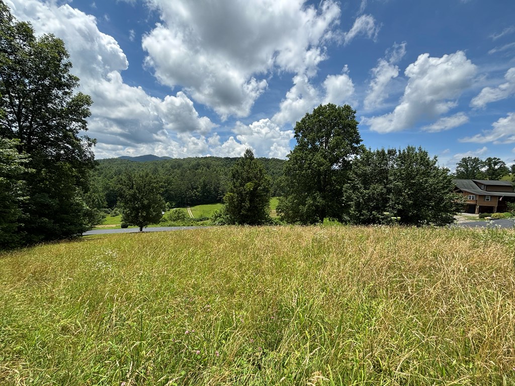 Lot 15 Old Taylors Ferry Ridge Murphy, NC 28906 - Photo 5 of 15 a view of outdoor space and yard
