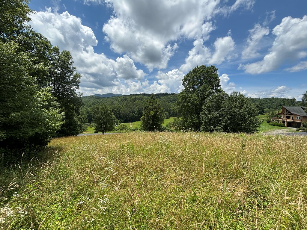 Lot 15 Old Taylors Ferry Ridge Murphy, NC 28906 - Photo 6 of 15 a view of outdoor space and yard