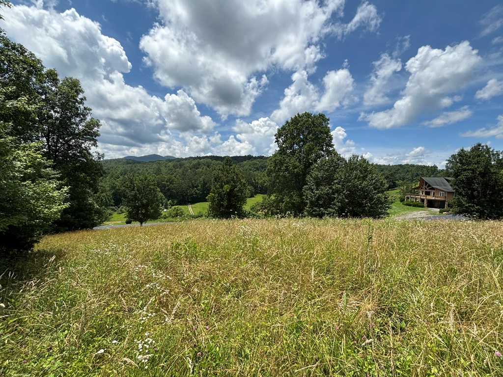 Lot 15 Old Taylors Ferry Ridge Murphy, NC 28906 - Photo 7 of 15 a view of a lake view