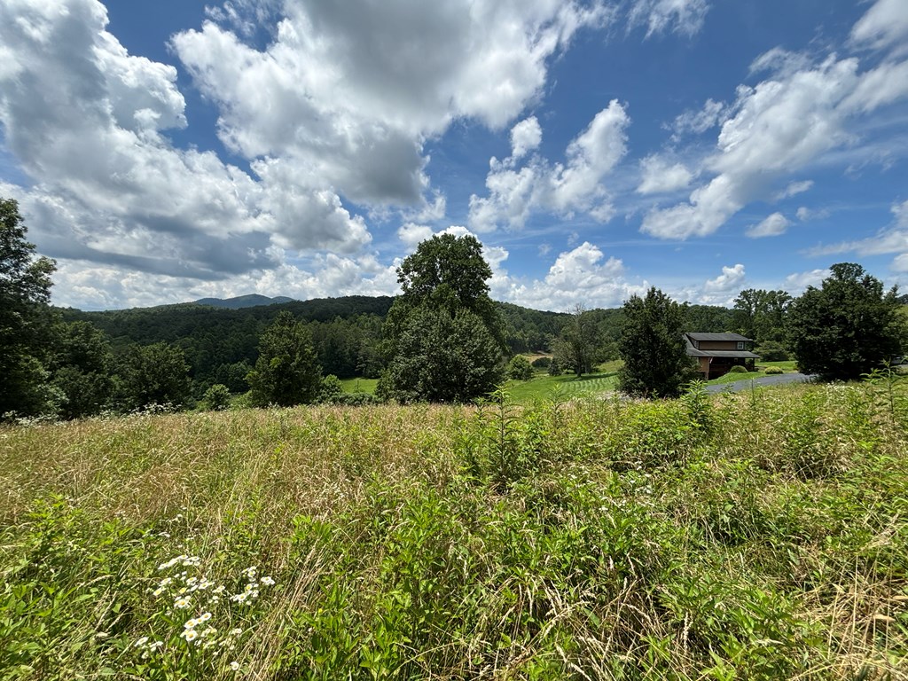 Lot 15 Old Taylors Ferry Ridge Murphy, NC 28906 - Photo 8 of 15 a view of a bunch of trees and bushes
