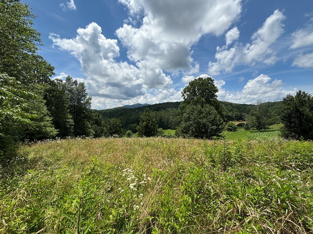 Lot 15 Old Taylors Ferry Ridge Murphy, NC 28906 - Photo 9 of 15 a view of a bunch of trees and houses