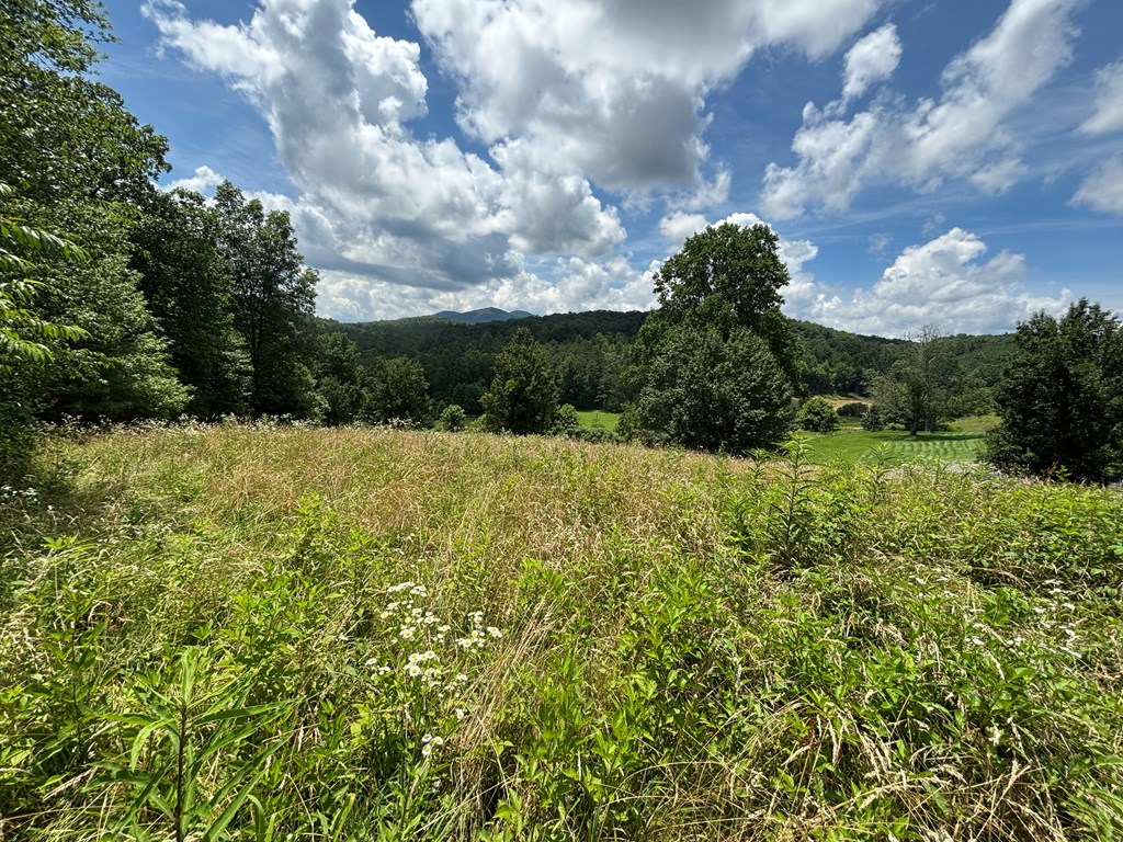 Lot 15 Old Taylors Ferry Ridge Murphy, NC 28906 - Photo 10 of 15 a view of a garden with a building