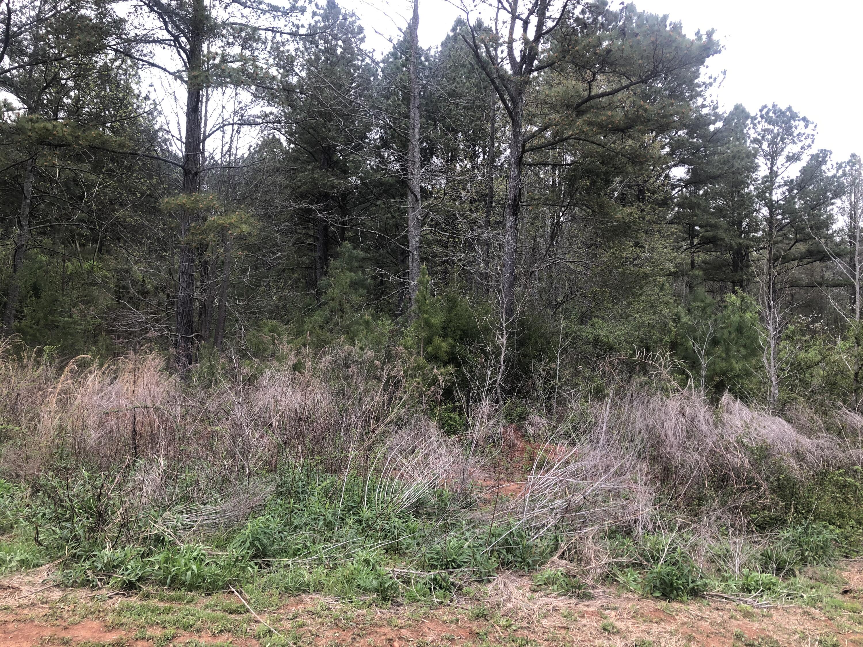 223 Rivers Edge Lane, Unit 34 Benton, TN 37307 - Photo 2 of 4 IMG_2343