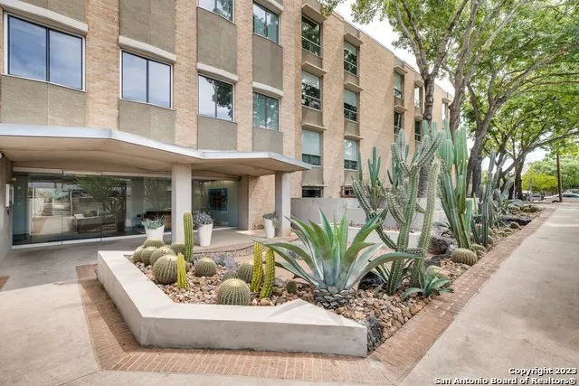 a view of a building with a potted plant