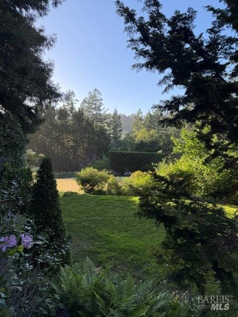 16875 Coleman Valley Road Occidental, CA 95465 - Photo 62 of 78