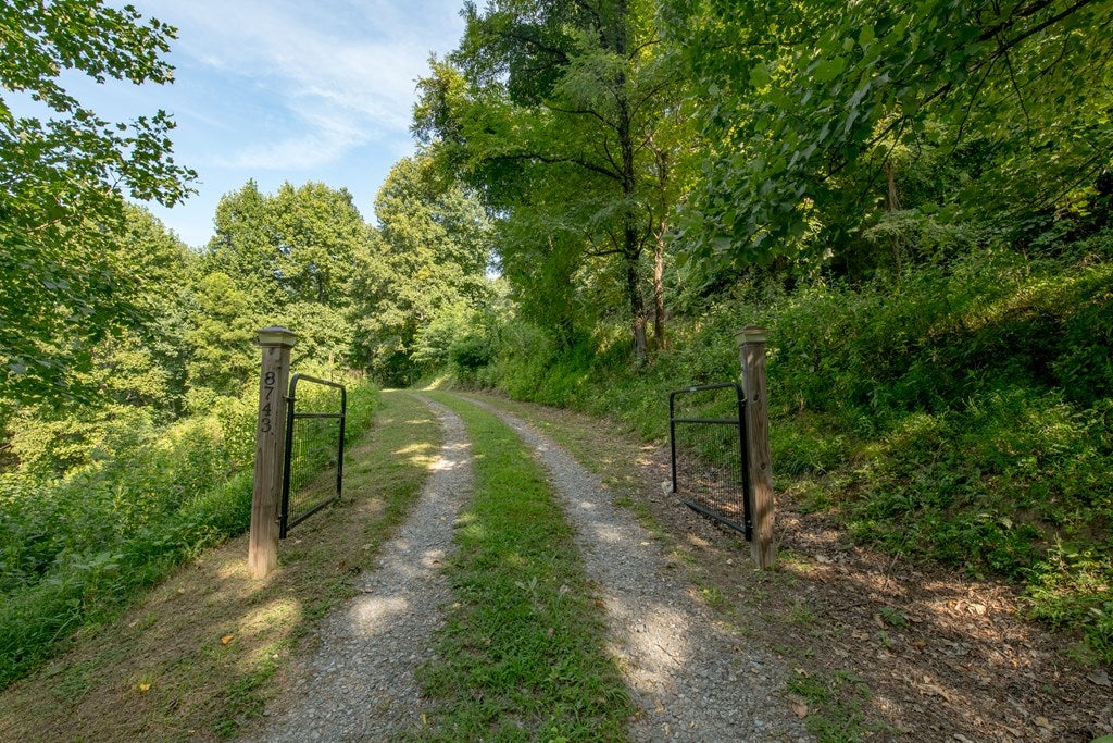 8743 Wards Gap Road Cana, VA 24317 - Photo 94 of 94 Gallery Image 94